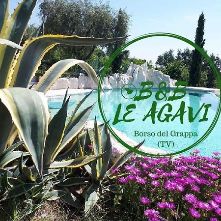 B&B Le Agavi ボルソ・デル・グラッパ エクステリア 写真
